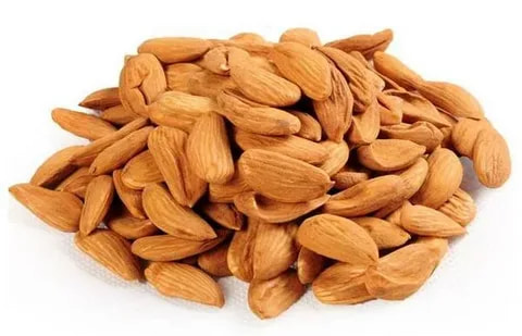 تصویر 1 از خرید و فروش بادام درختی یزد با شرایط فوق العاده
